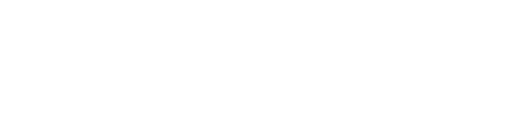 Voyages Robert